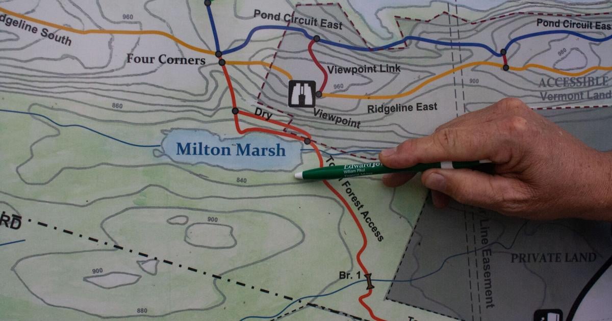 Milton Town Forest viewing platform project moves forward, on track for 2025 completion