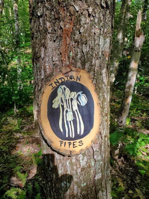 Bolton trails (11).jpg