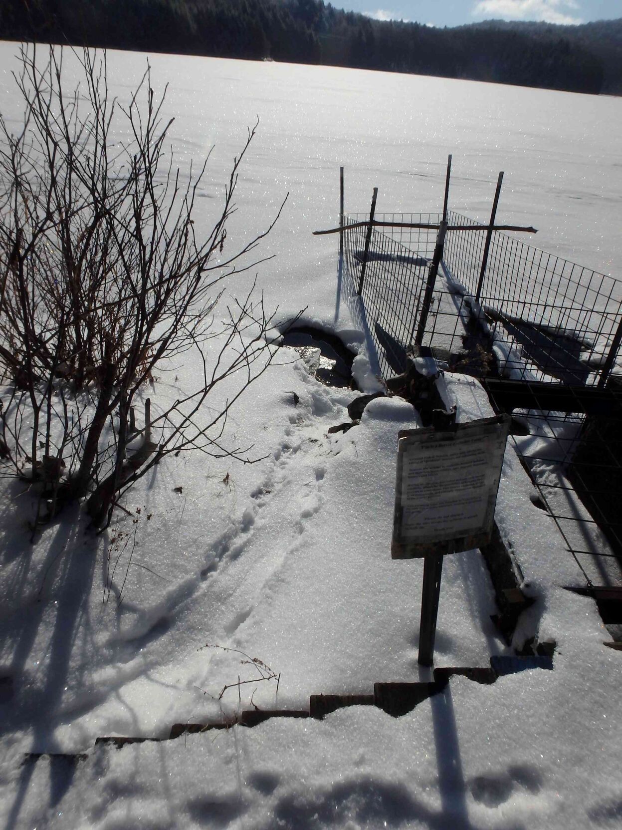 Beaver Sliding Discover winter wildlife and scenic trails in Milton | Local News ...