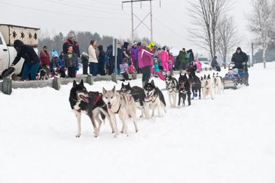 Beat The Blues At Winter Festival News Miltonindependent Com