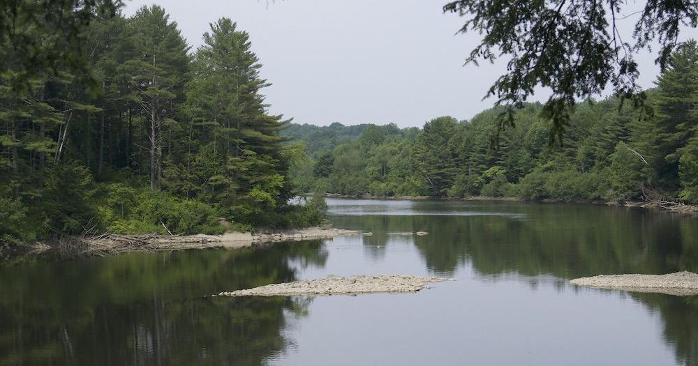 Milton residents in low-lying properties abutting the Lamoille River encouraged to evacuate - Vimarsana News