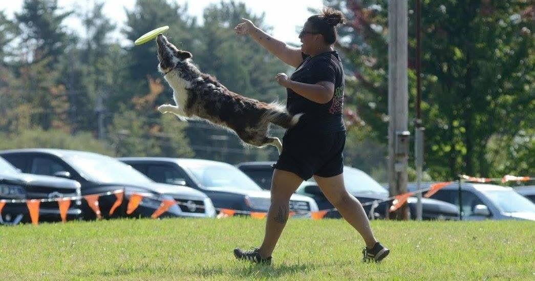 APEX Dog Training finds its stride helping Vermont’s four-legged misfits