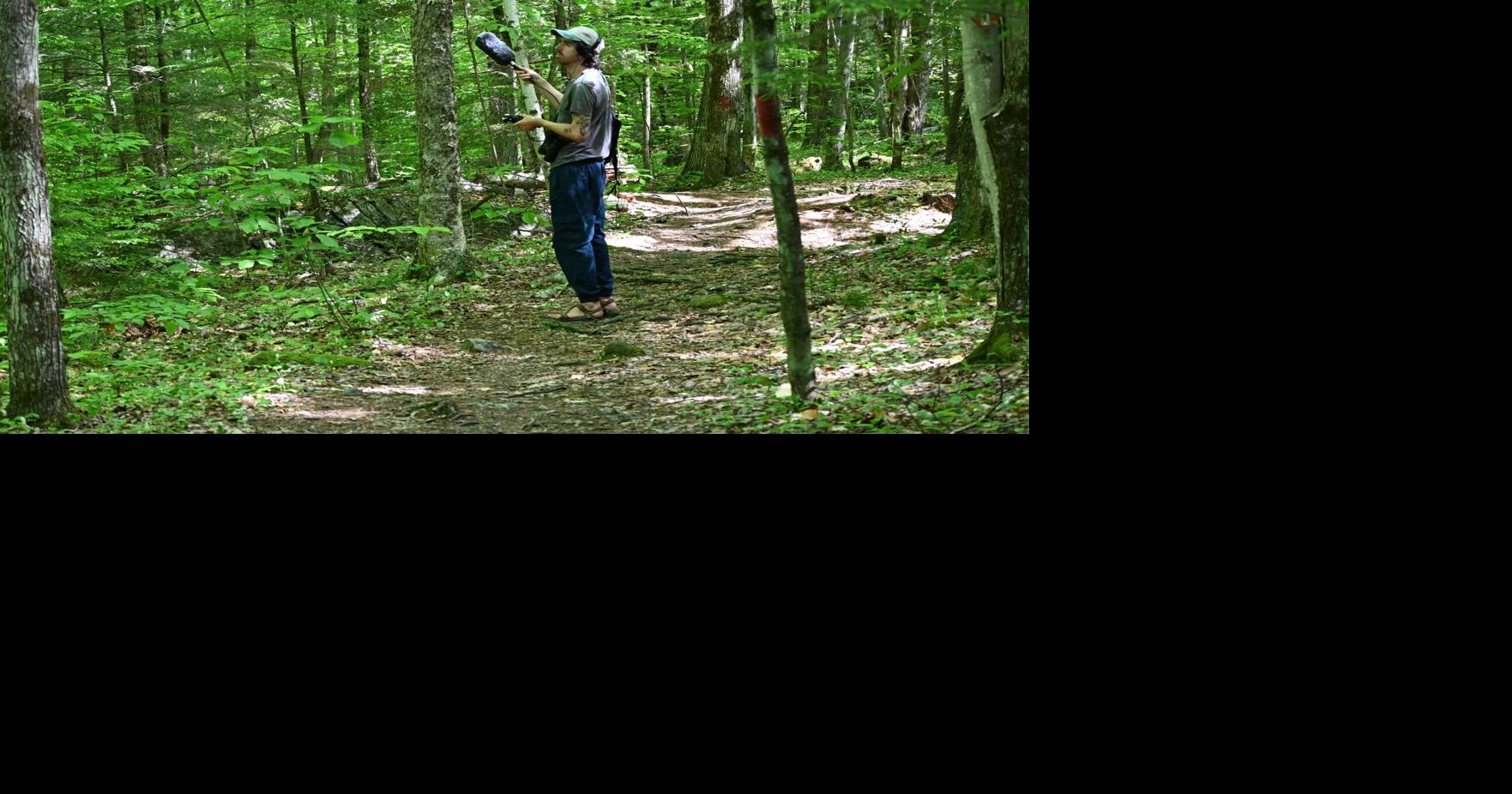 Essex Junction artist turns Vermont soundscapes into new album