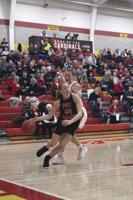 No. 1 Fort Loramie takes down Cardinals
