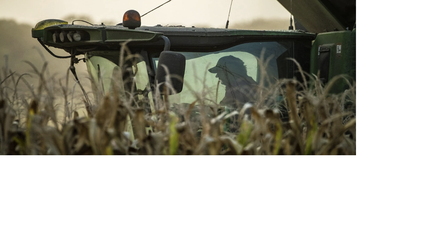 Diesel has never been more expensive. That's squeezing farmers as harvest begins
