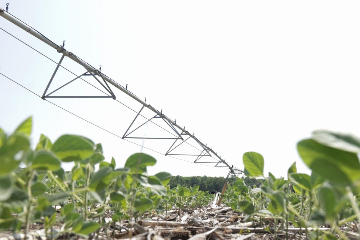 Missouri state parks aid farmers during extreme drought conditions