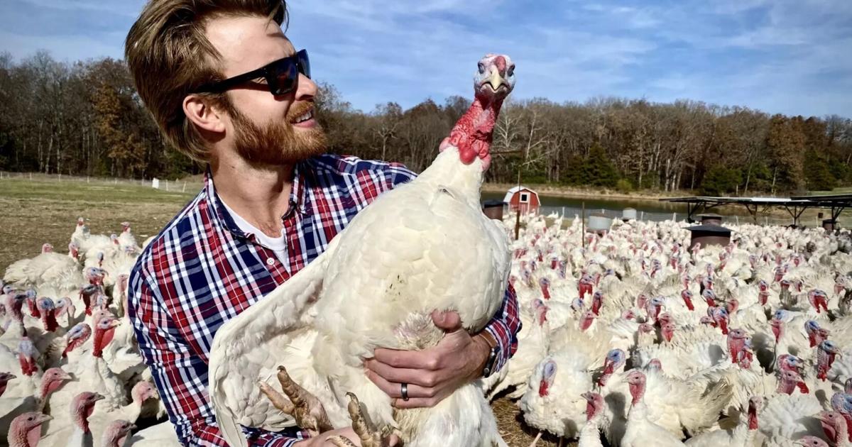Missouri turkey farmers fight inflation and pestilence to deliver birds ...