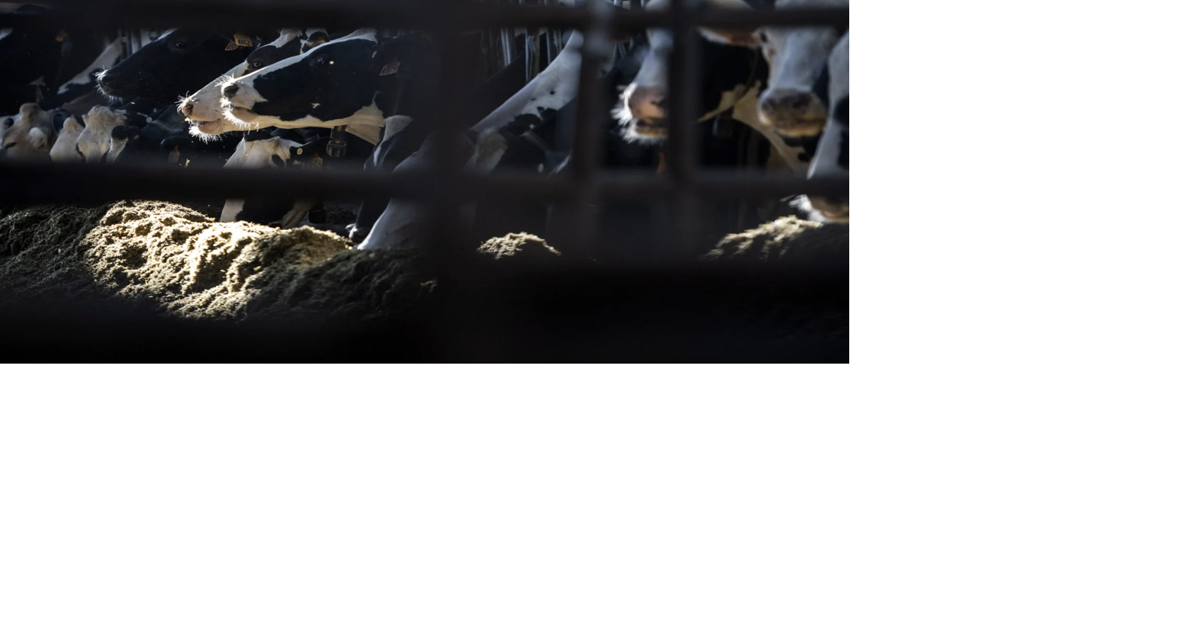 As the U.S. and Canada slap new tariffs on goods, American farmers are stuck in the middle