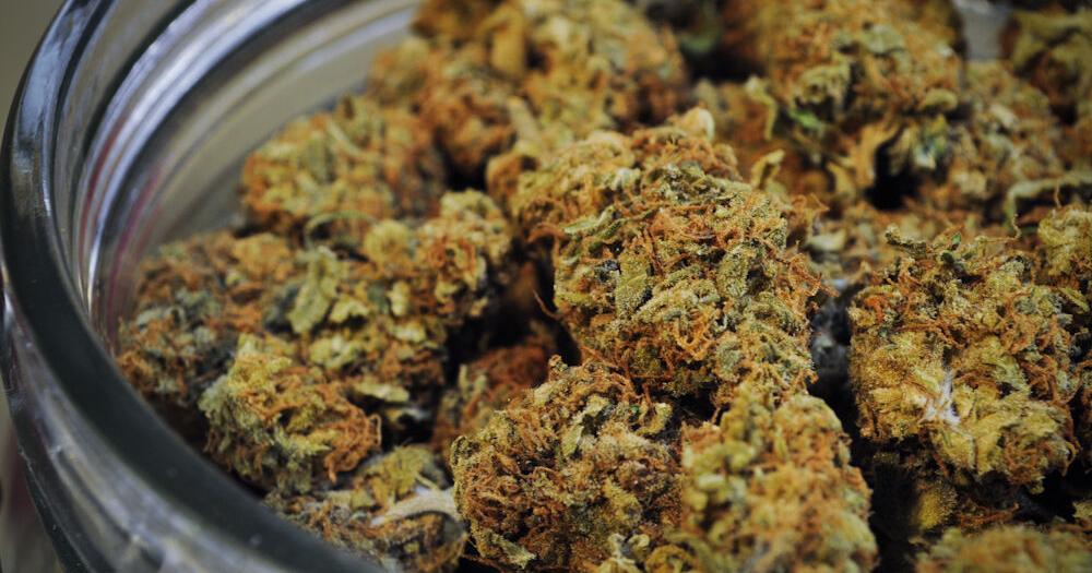 Fate of Missouri marijuana initiative petition unclear as signature count continues - Vimarsana News