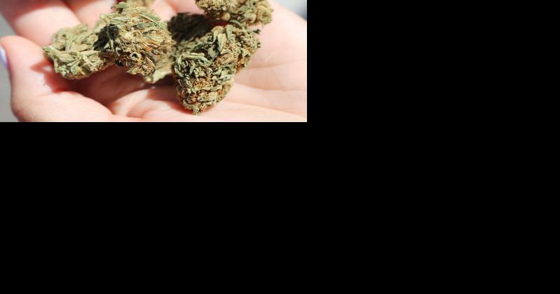 Missouri Minute: Voters approve local taxes on cannabis; Senate gives initial OK to rural tax credit - Vimarsana News