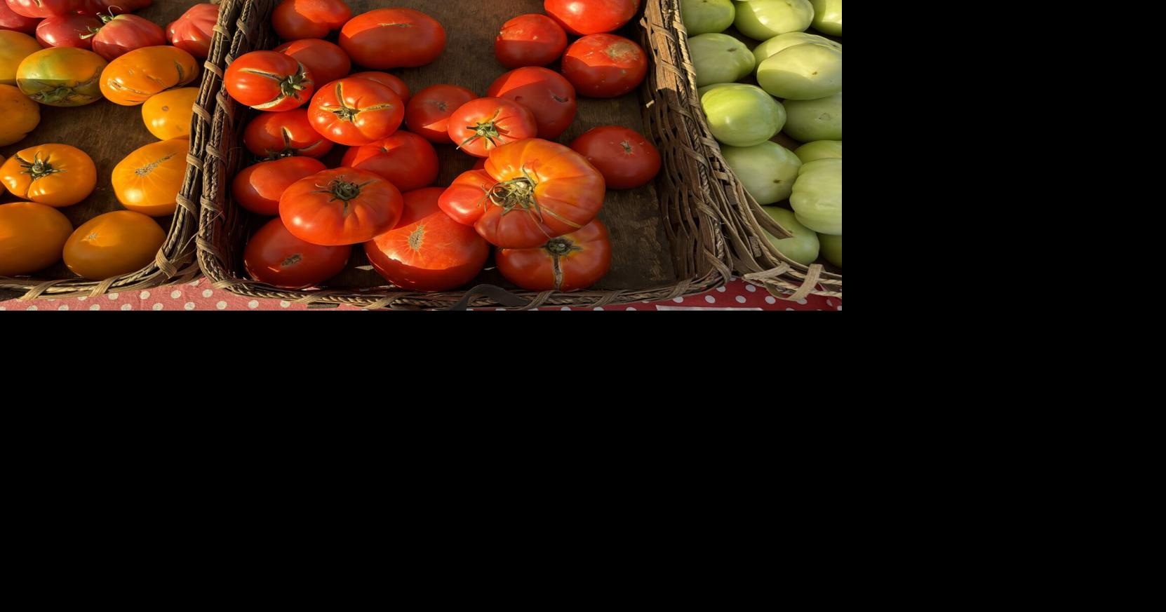 Horticulturist explains why it was a good year for tomatoes ...