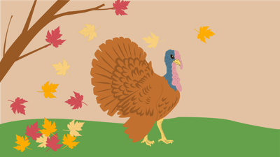 Tariffs and bird flu behind higher turkey prices | Industries ...