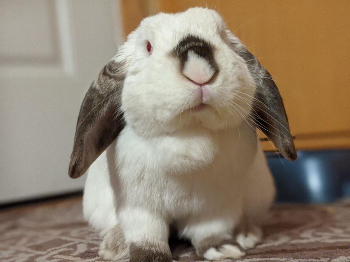 Jub Jub.jpg