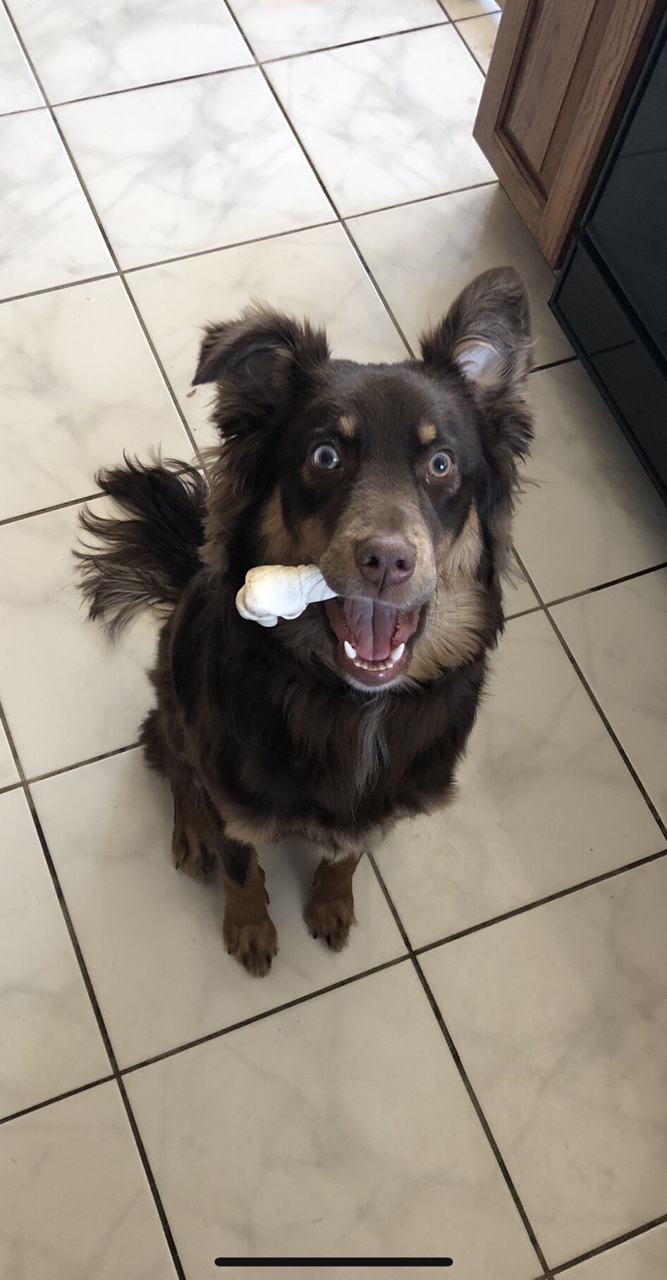 Stella.jpeg