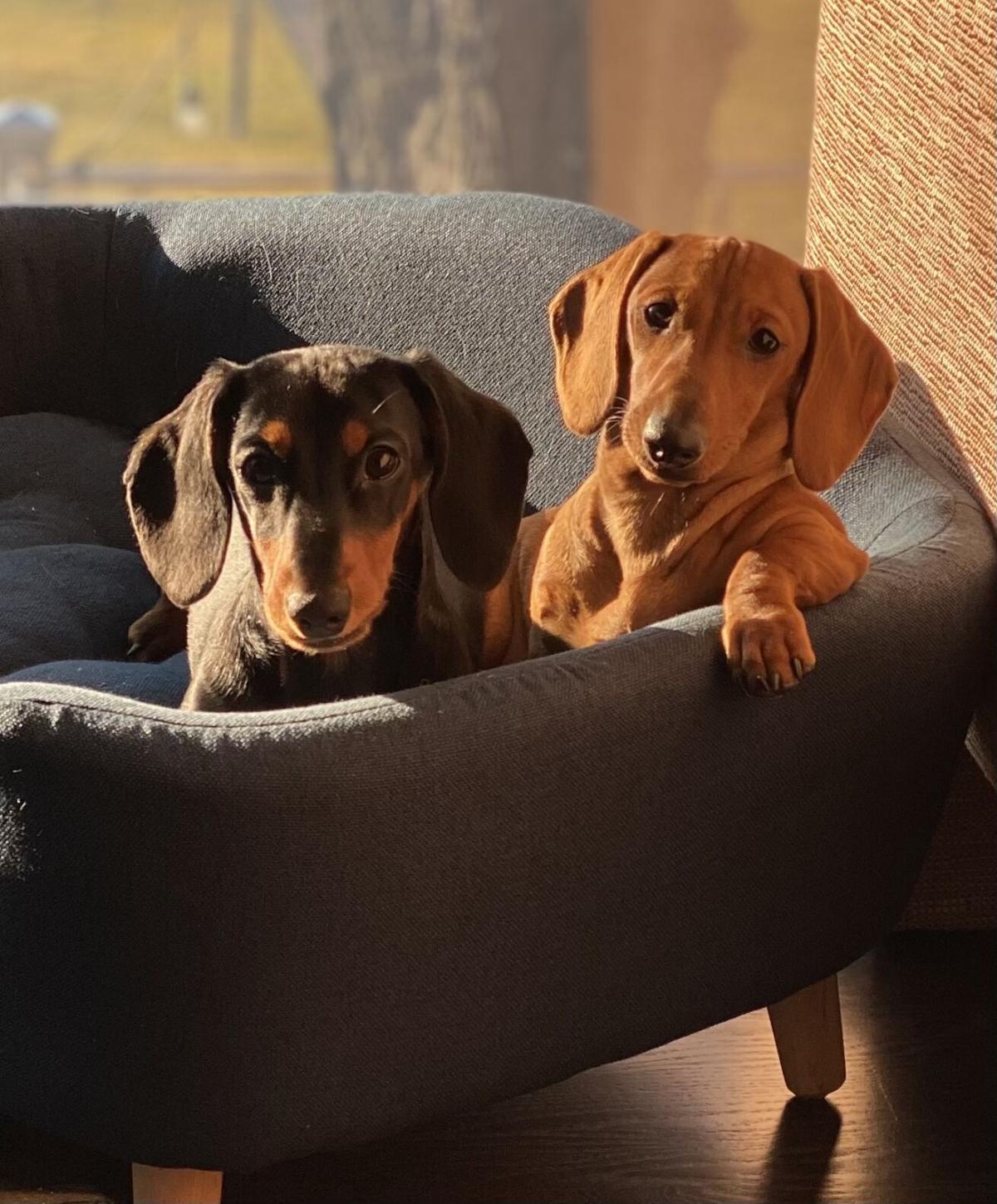 Willie and Winnie.jpeg