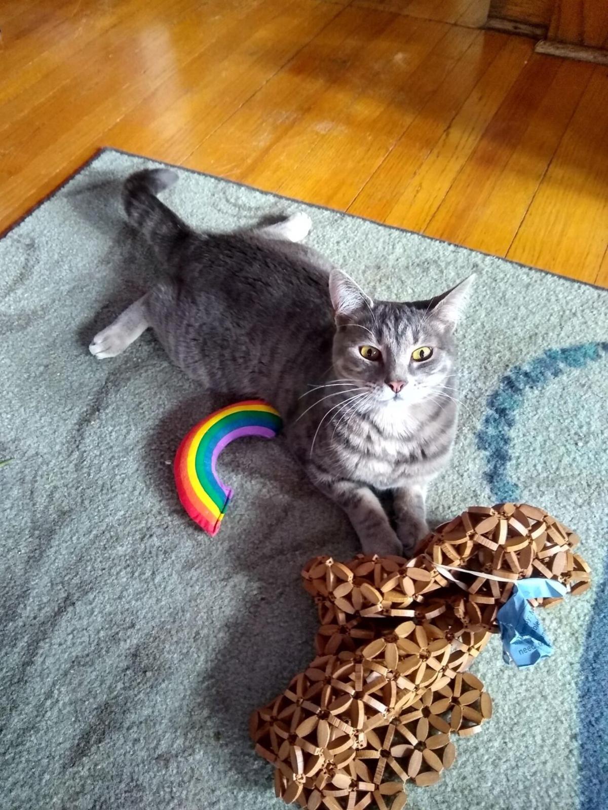 Iiti over the rainbow.jpg