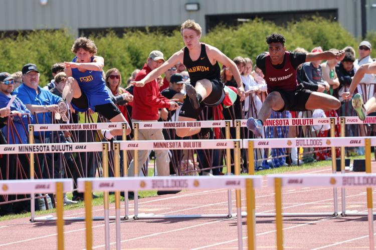 Several Rebels qualify for State Track and Field meet | Sports ...