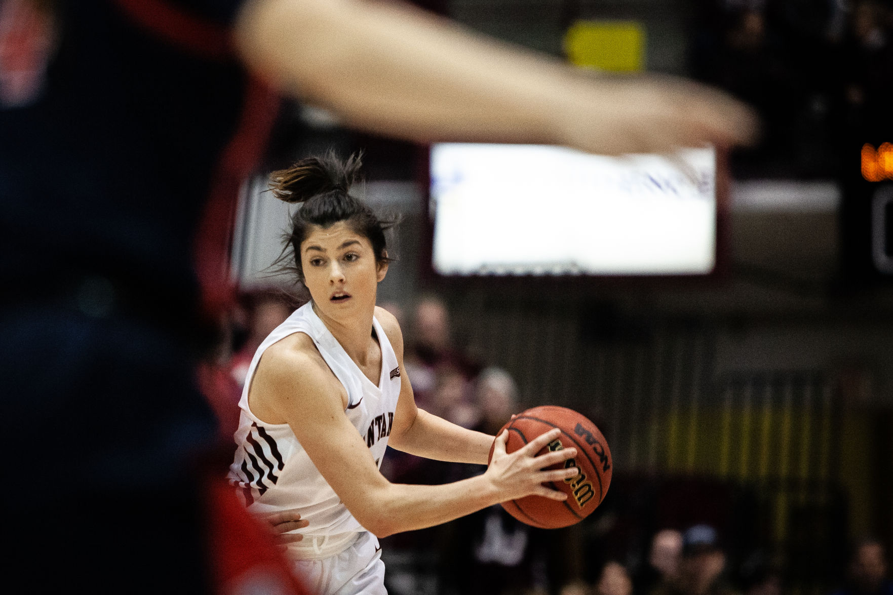 griz basketball roster