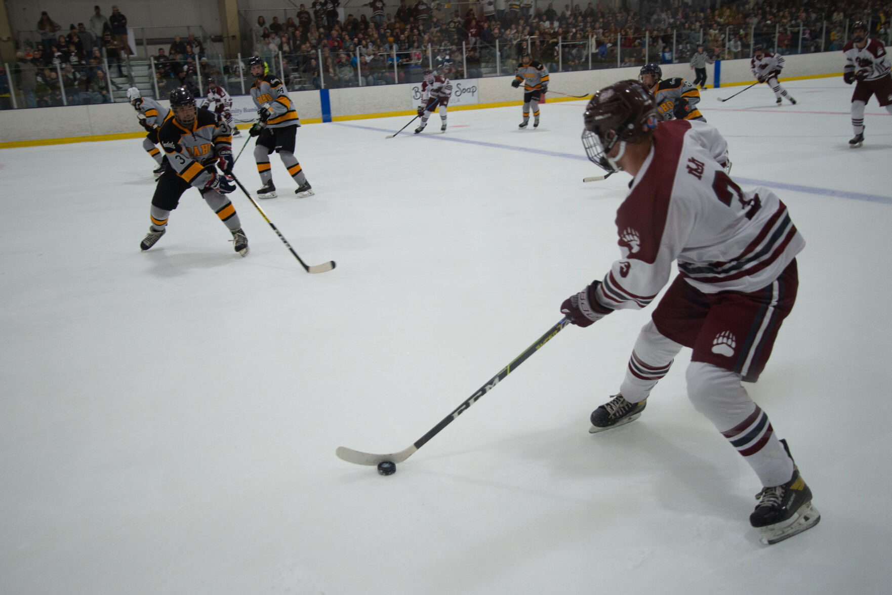 Griz hockey dominates in first game back Sports montanakaimin