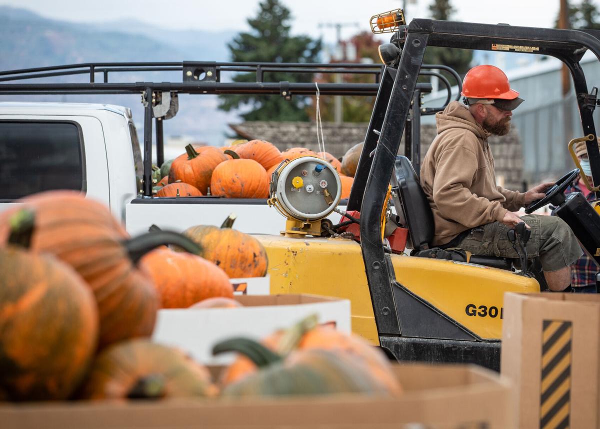 Diggins_PumpkinHarvest-010.JPG