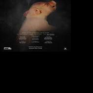 Practical pigs can't save 'Piglady' | Arts + Culture - Vimarsana News