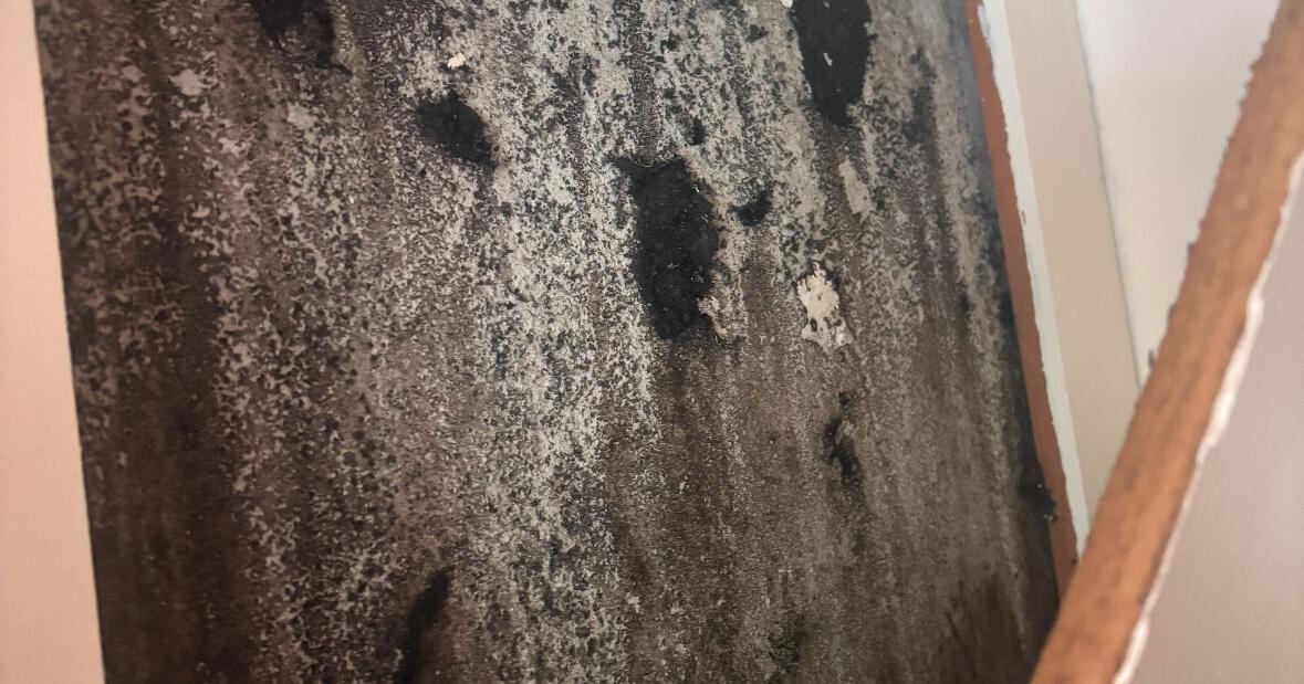 The mold issue