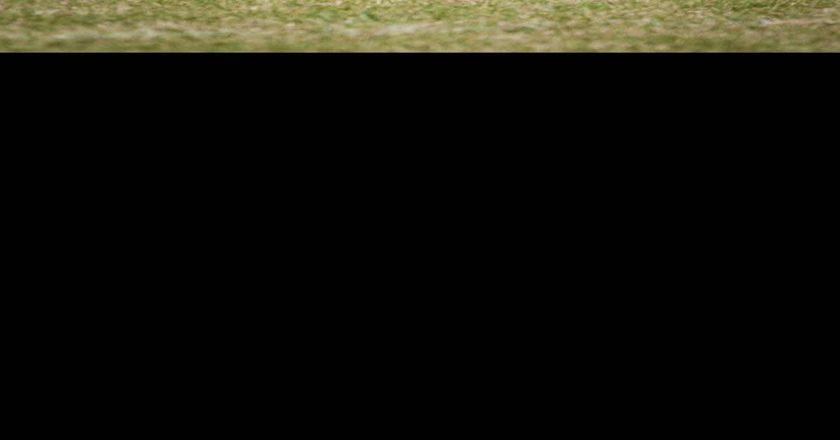 Breaking Grizzlies release first depth chart of 2018 Sports