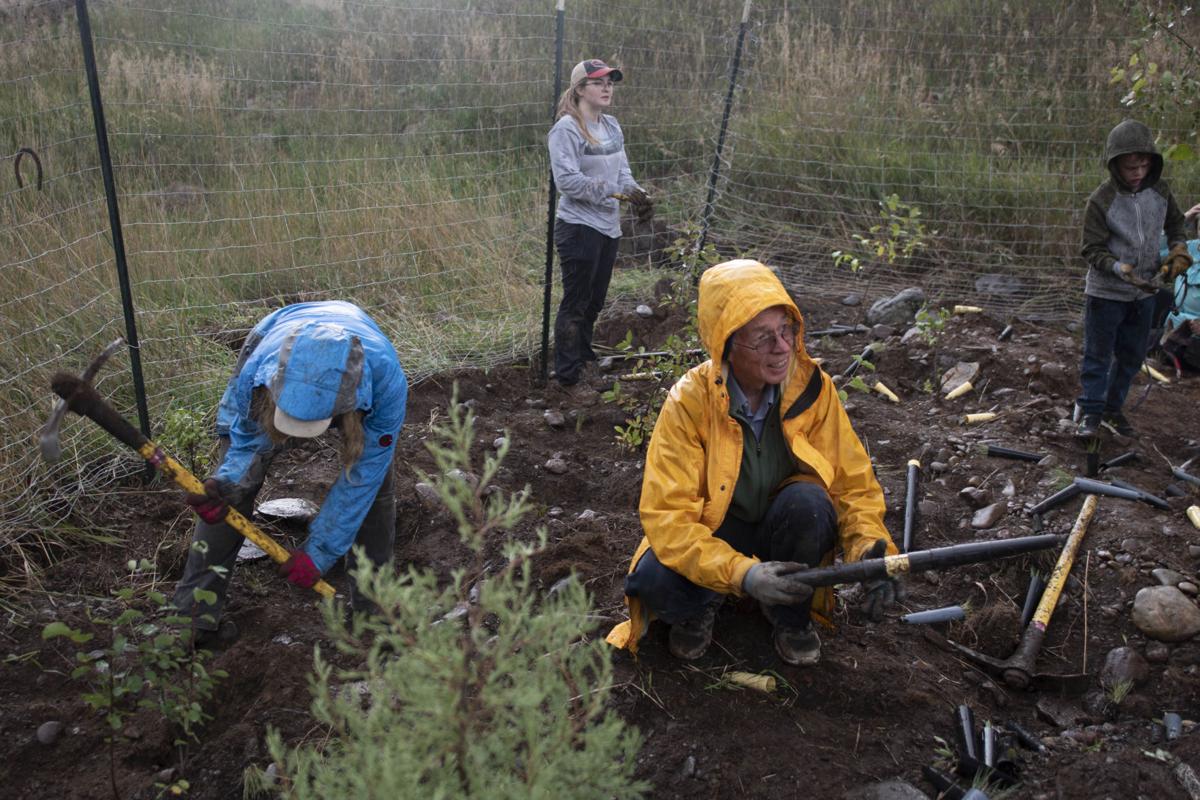 Tree Planting 02