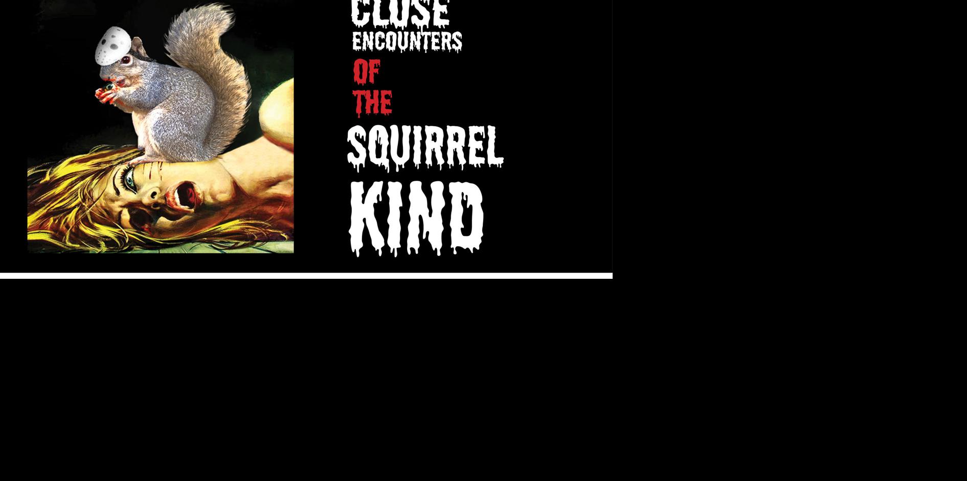 Close Encounters Of The Squirrel Kind Features Montanakaimin Com