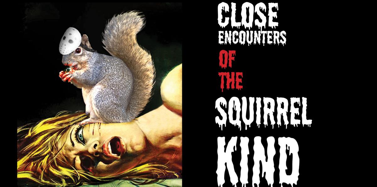 Close Encounters Of The Squirrel Kind Features Montanakaimin Com