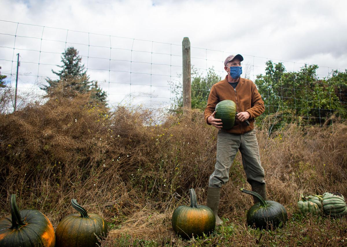 Diggins_PumpkinHarvest-007.JPG
