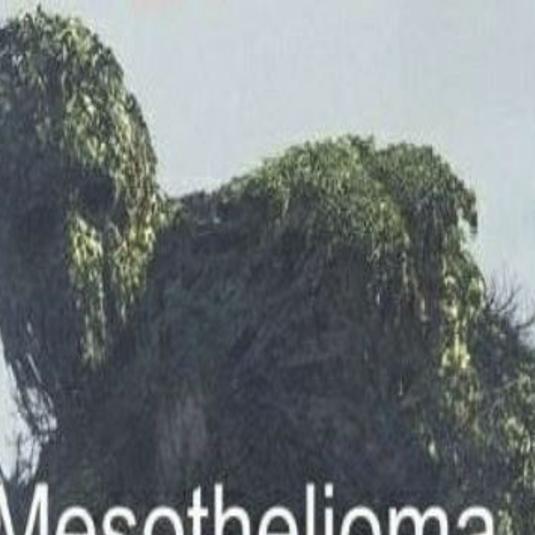 A brief history of one of my favorite formats | Arts + Culture |  montanakaimin.com, image size:1200x1200