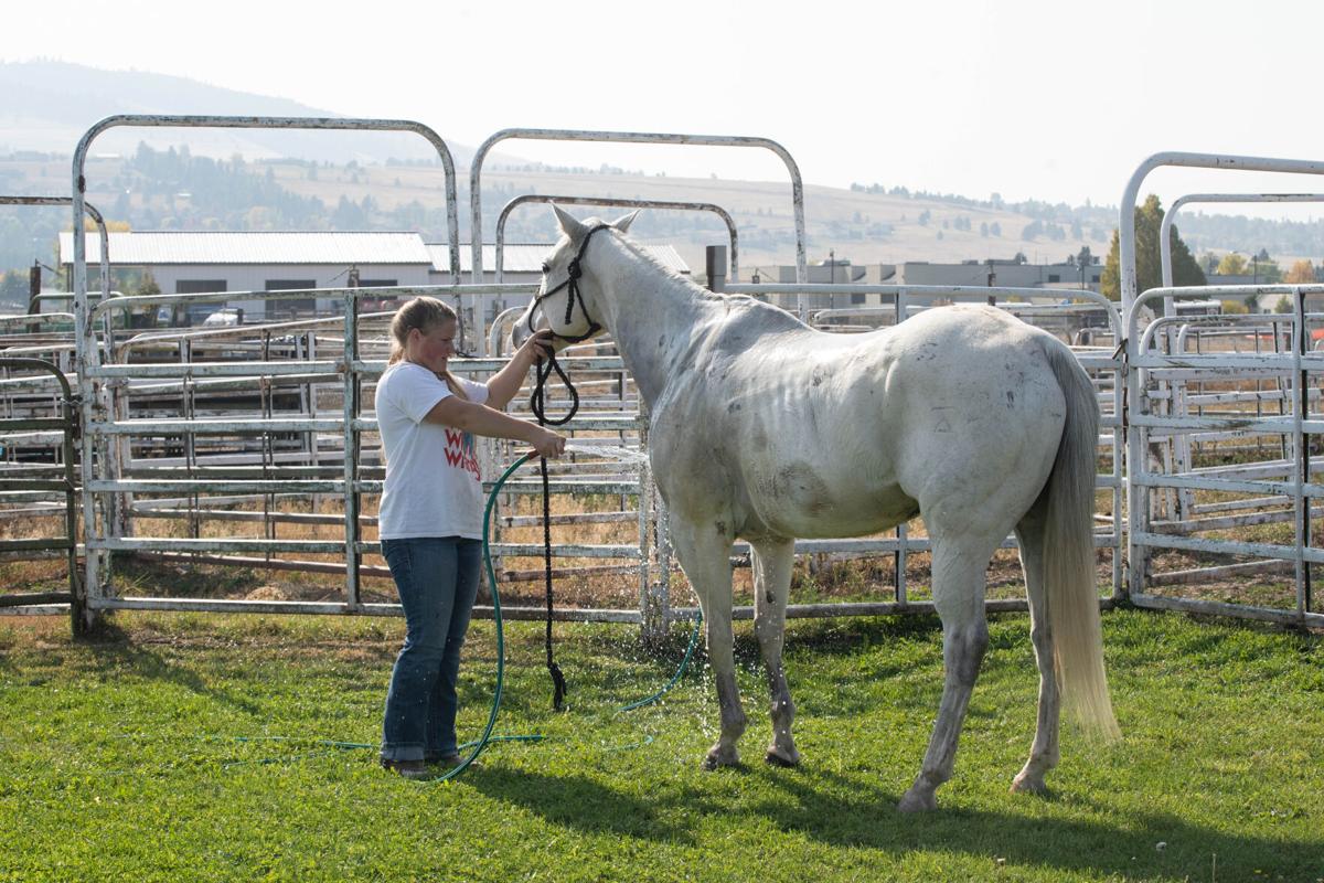 Barrel Racing 7