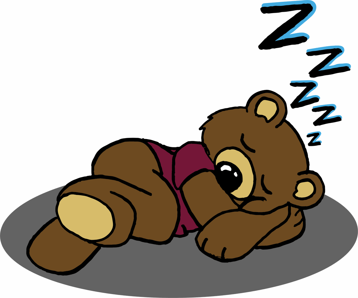 What Does It Mean if You Dream About a Bear? - ShutEye