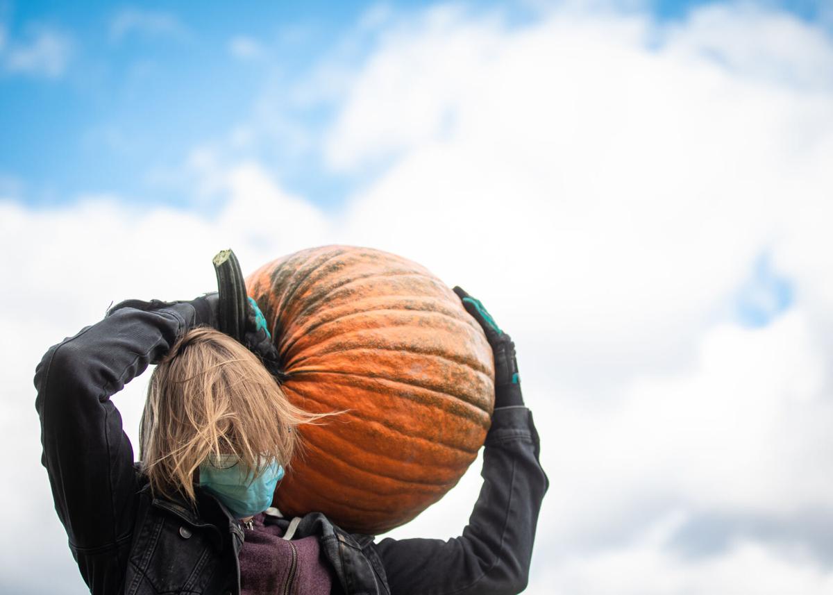 Diggins_PumpkinHarvest-002.JPG