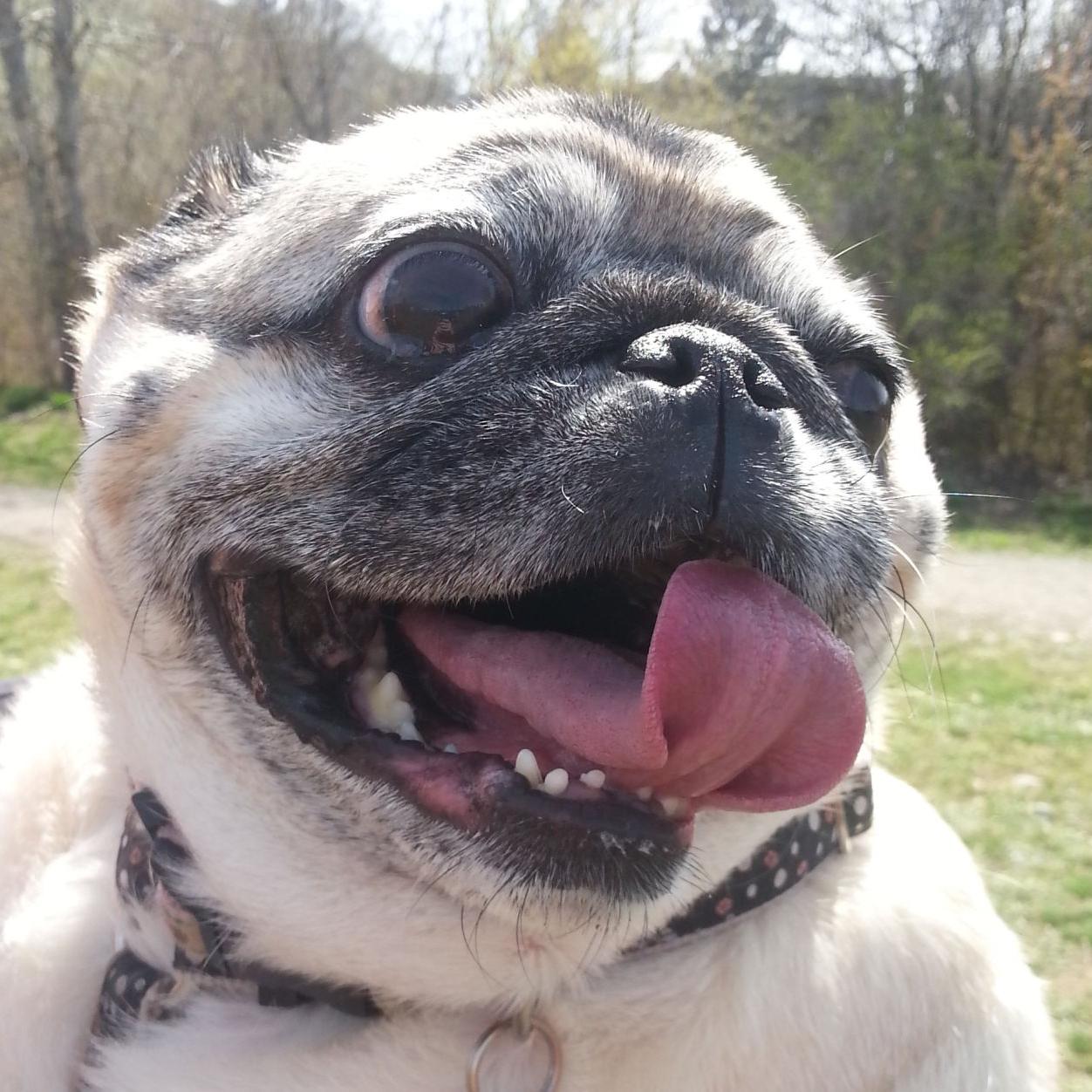 Teen girls in Missoula Sex guide in Missoula