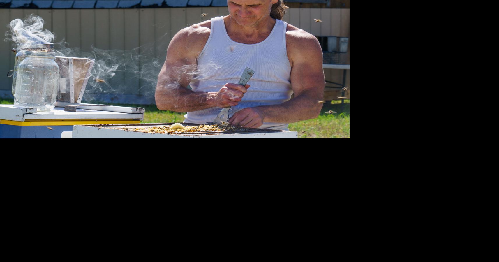 Certificates at UM, Explored