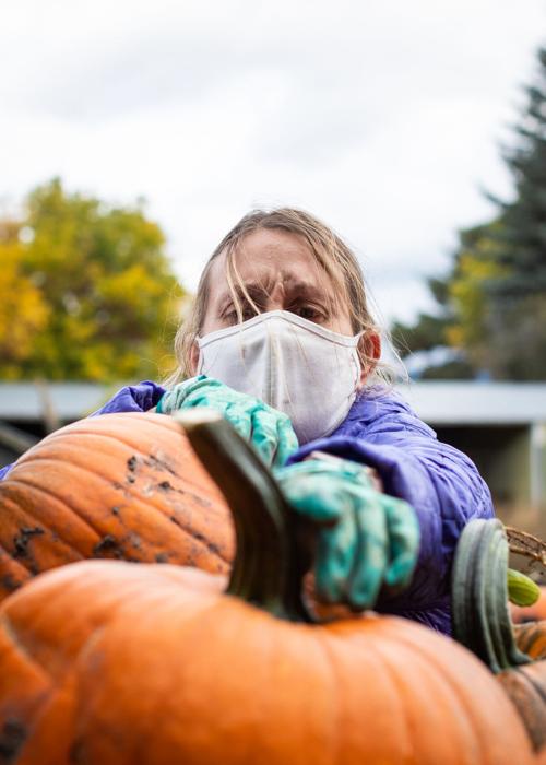 Diggins_PumpkinHarvest-008.JPG