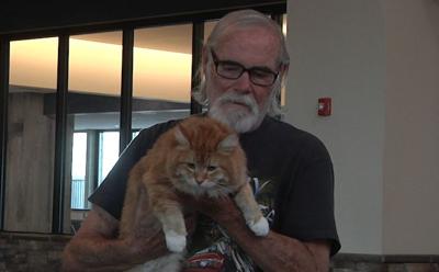 Bobby The Cat Returns Home After A Year And A Half Missing