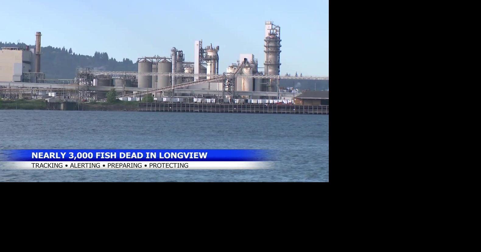 Longview paper mill recovery update: all victims recovered and ...