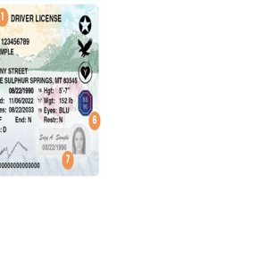 Montana unveils new secure driver licenses to combat identity theft