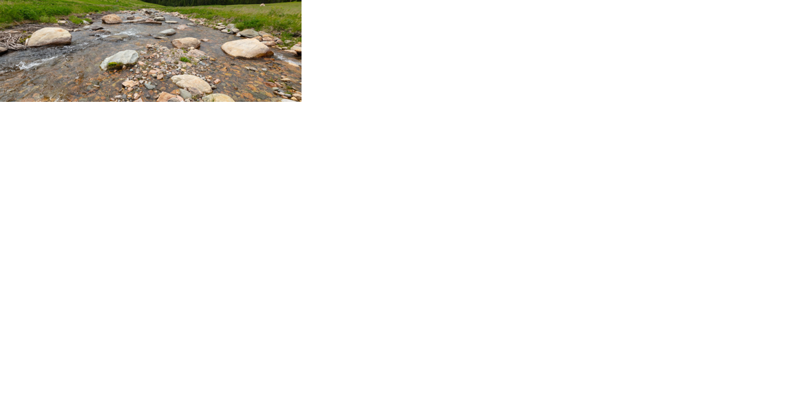 Nonnative brook trout discovered in Soda Butte Creek in Yellowstone National Park; Native fish restoration project resumes to remove nonnatives - Vimarsana News