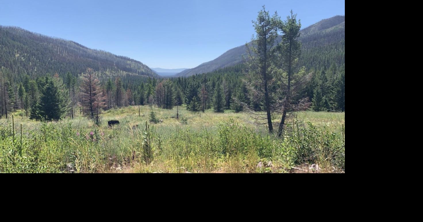 Lodgepole Creek Trailhead landslides left zero injuries Missoula News