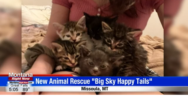 Big sky animal rescue store