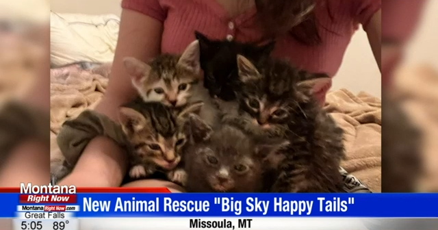 Big sky animal deals rescue