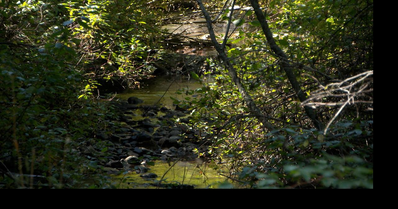 Bozeman, MSU team up to track Sourdough watershed conditions Sep 6, 2026 Sep 6, 2026 Updated 2 mins ago