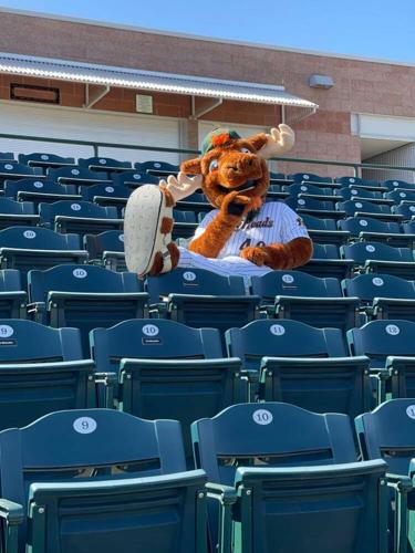 Paxson the PaddleHead