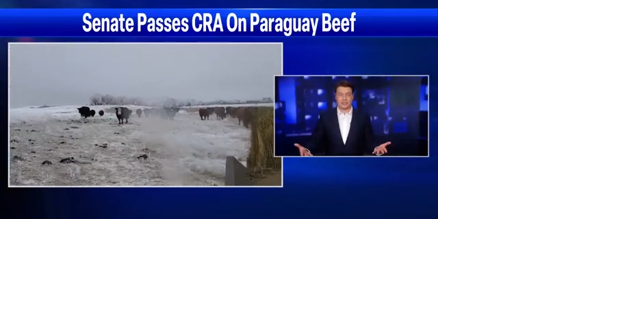 Senate passes Tester, Round's bipartisan CRA overriding Biden admin on Paraguay beef imports - Vimarsana News