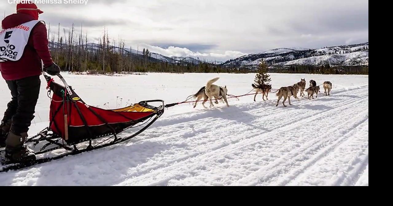 Idaho Sled Dog Challenge set for Thursday and Friday in Warm Lake