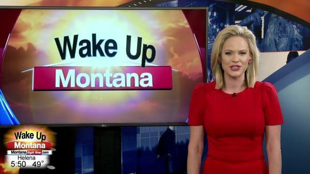 Bozeman Dog Toy Company West Paw Expanding Amid Covid 19 Abc Fox Bozeman Montanarightnow Com